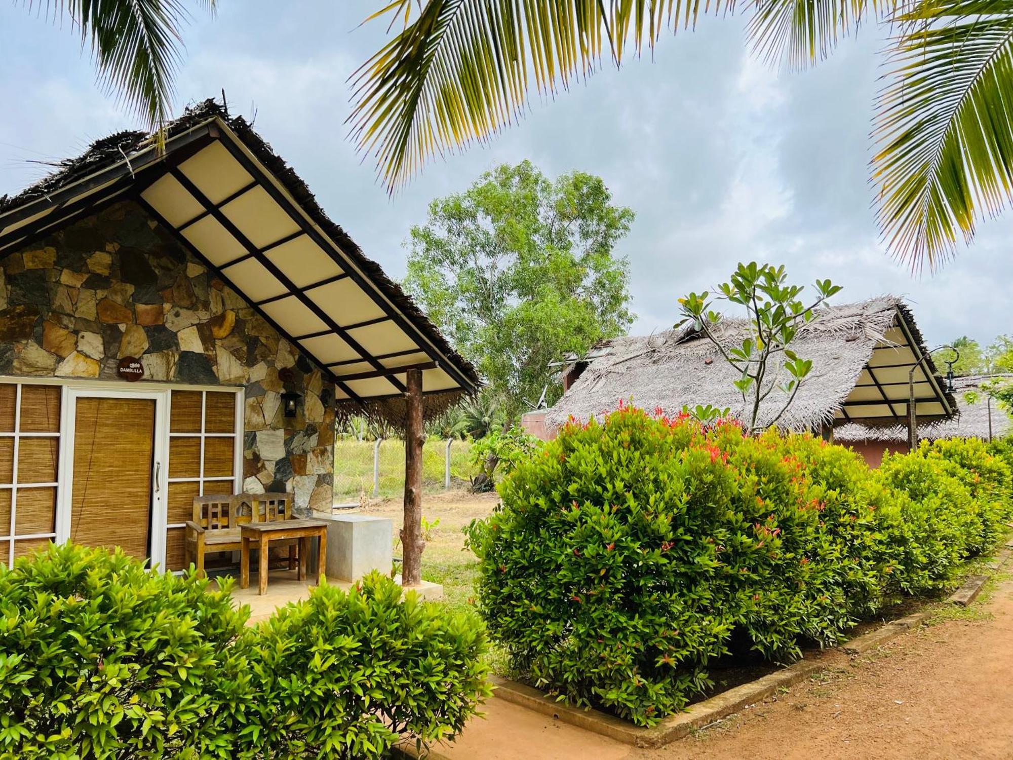 Coco Village Hotel Chilaw Buitenkant foto