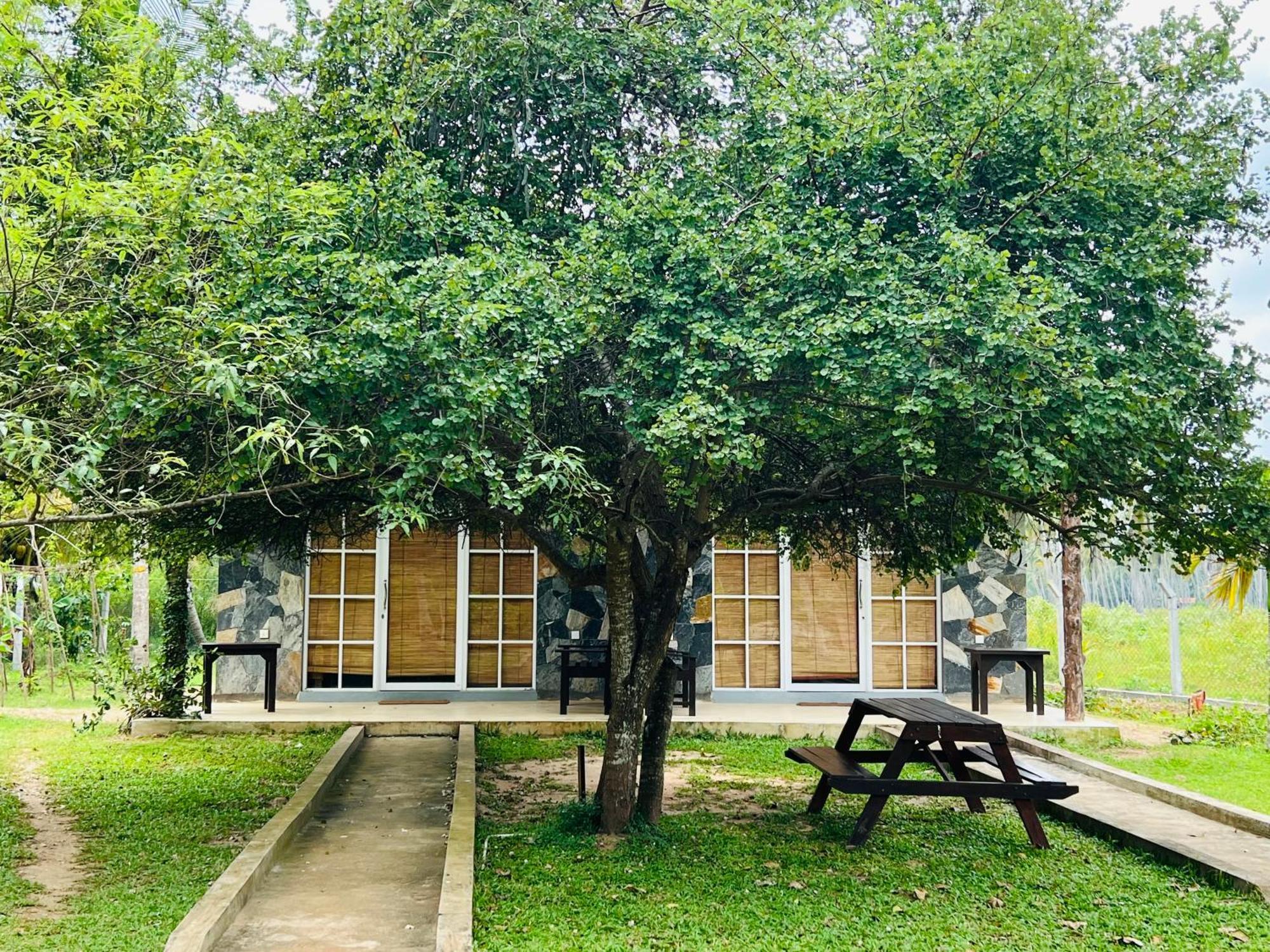 Coco Village Hotel Chilaw Buitenkant foto
